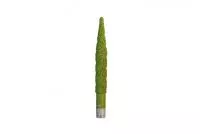 Фреза для ЧПУ зеленая вакуум Конус D12х3x90xL120