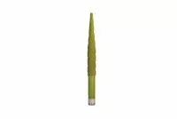 Фреза для ЧПУ зеленая вакуум Конус D12х3x100xL150
